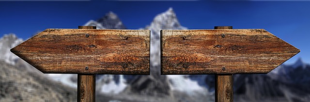 Differenze principali tra TFR e TFS
